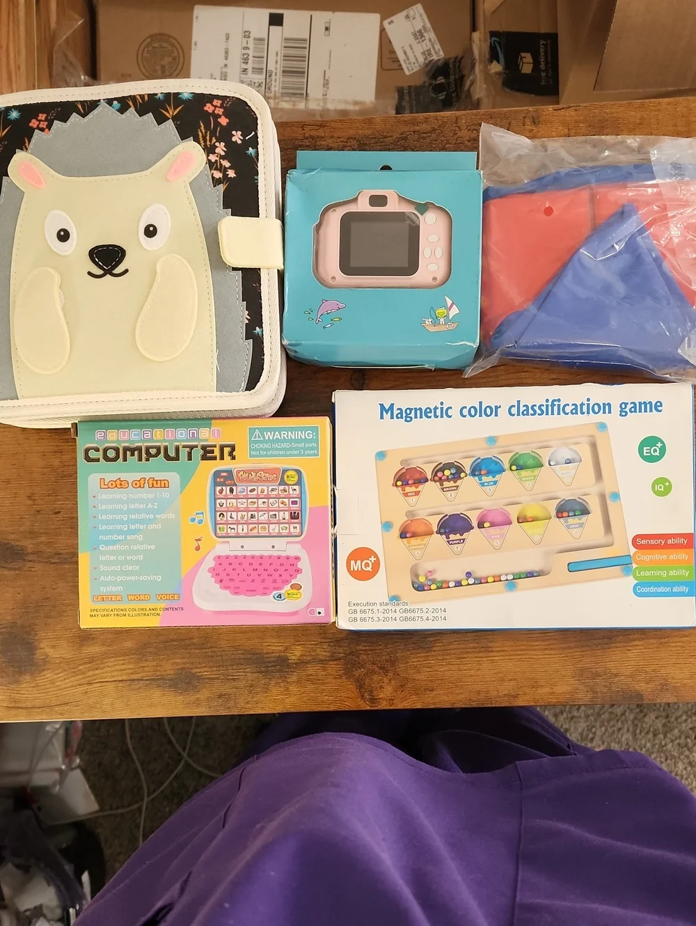 Bundle, 5 Hedgehog Travel Book, Camera, Sandbox/pool, Computer, Magnetic Puzzle